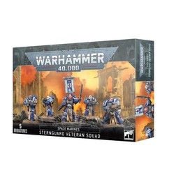 Escouade de vétérans sternguards - Space Marines
