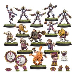 Middenheim Maulers - Old World Alliance Team Blood Bowl