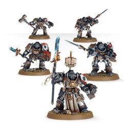 Terminator / Paladin Squad - Grey Knights