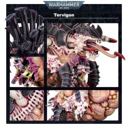 Tervigon / Tyrannofex - Tyranids