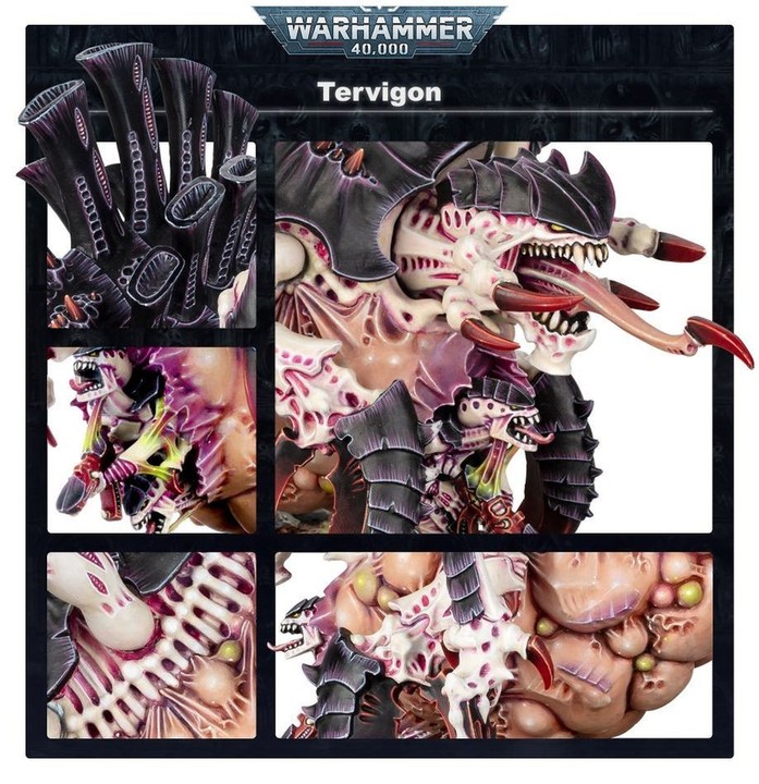 Tervigon Tyranide 40K | VPC Forges