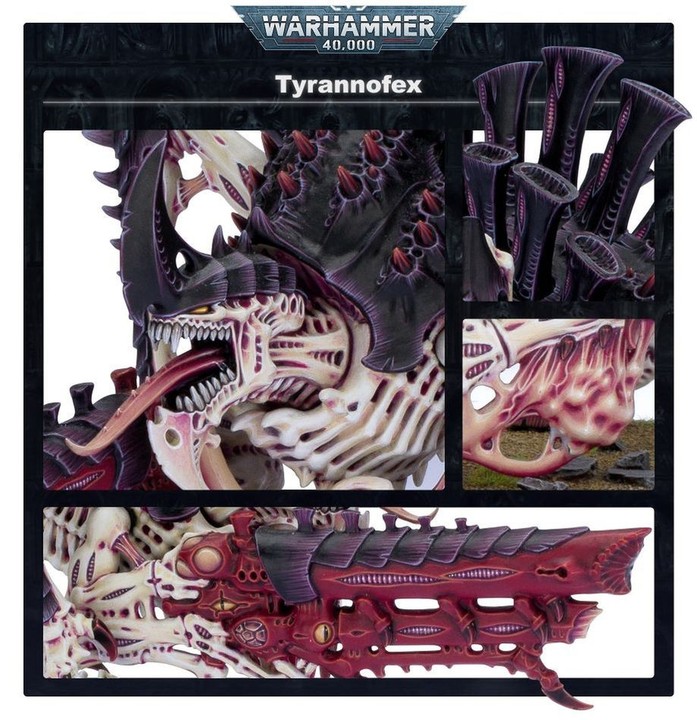 Tervigon Tyranide 40K | VPC Forges
