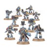 Pack - Space Wolves Chasseurs Gris