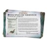 Pack de Faction: Disciples de Tzeentch (V4)