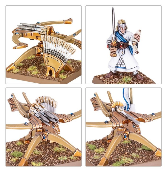 Balistes Serre d'Aigle