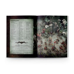 Battletome: Gloomspite Gitz V4 (Français)