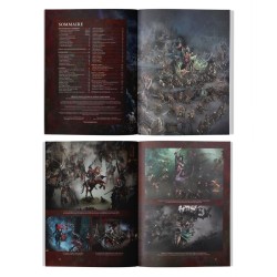 Tome de Bataille - Soulblight Gravelords V4