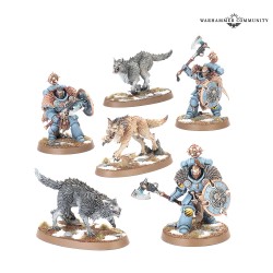 Boite d'armée - Space Wolves FR