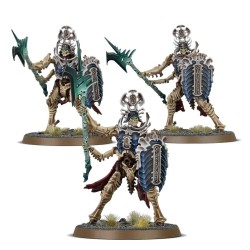 Fer de lance : Élite des Mortisans - Collecteurs Ossiarques