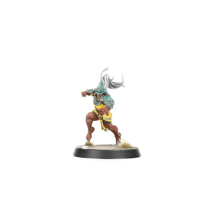 Kara Temple Harpies - Amazon Team Blood Bowl