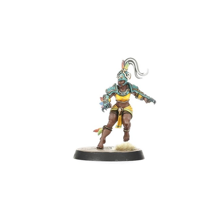 Kara Temple Harpies - Amazon Team Blood Bowl