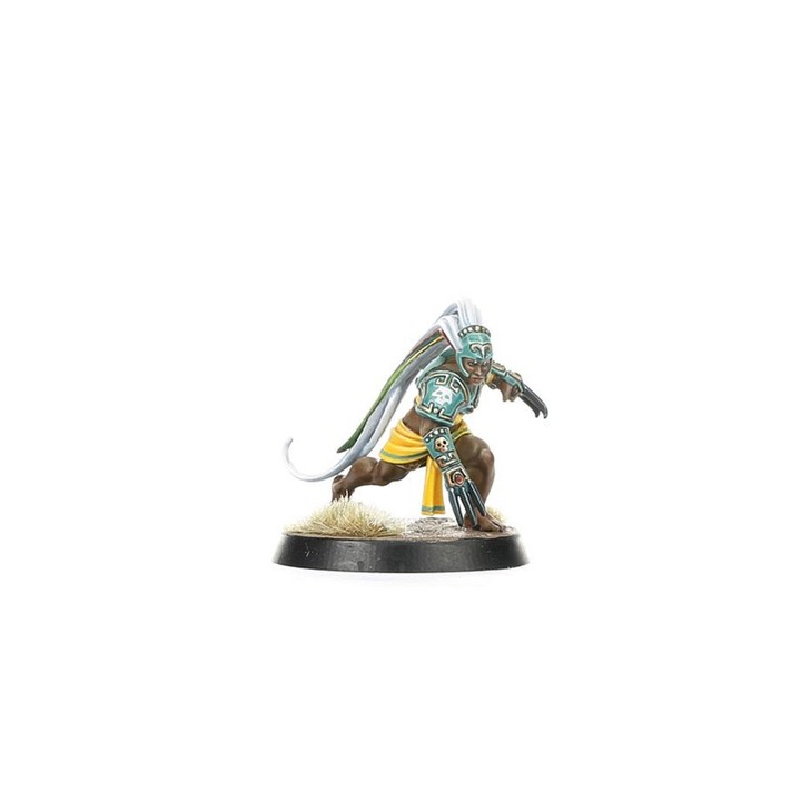 Kara Temple Harpies - Amazon Team Blood Bowl