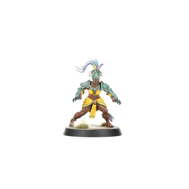 Kara Temple Harpies - Amazon Team Blood Bowl