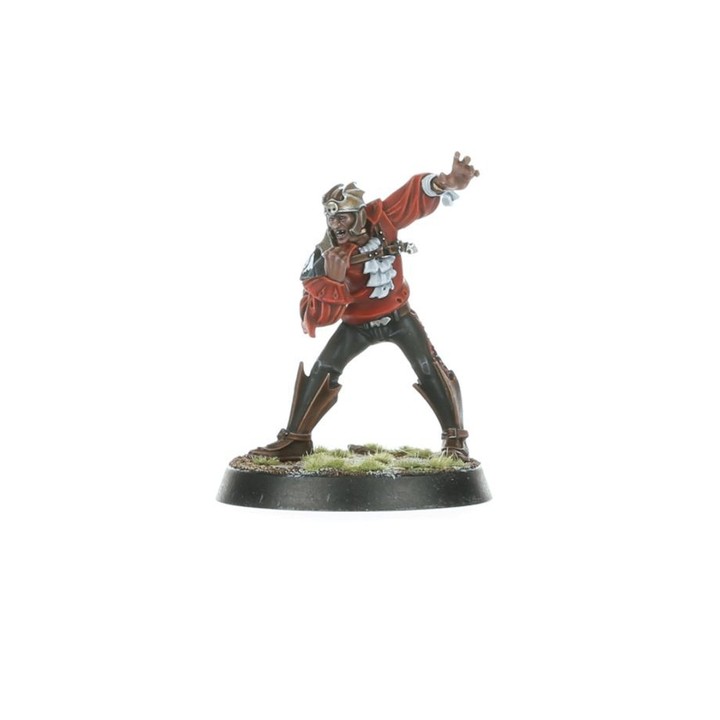Vampire Team: Drakfang Thirsters