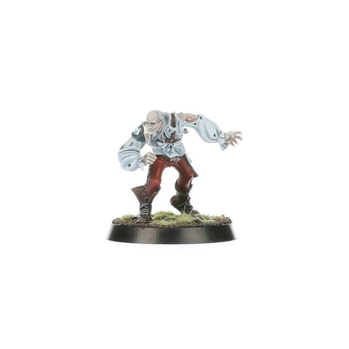 Vampire Team: Drakfang Thirsters