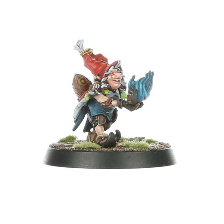 Gnomes Team Blood Bowl: Les Glimdwarrow Groundhogs