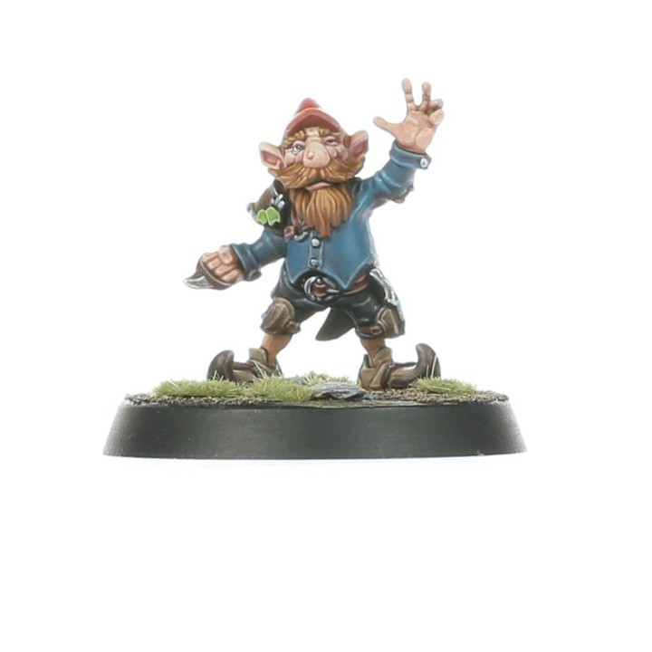 Gnomes Team Blood Bowl: Les Glimdwarrow Groundhogs