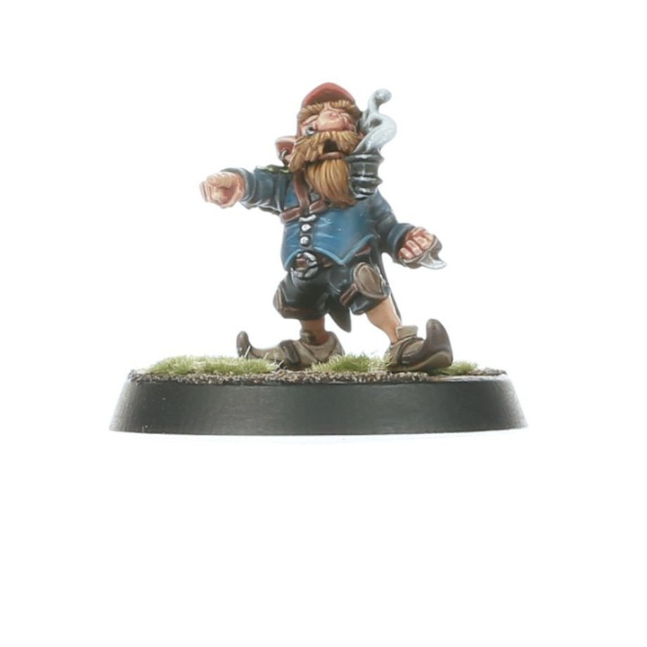 Gnomes Team Blood Bowl: Les Glimdwarrow Groundhogs