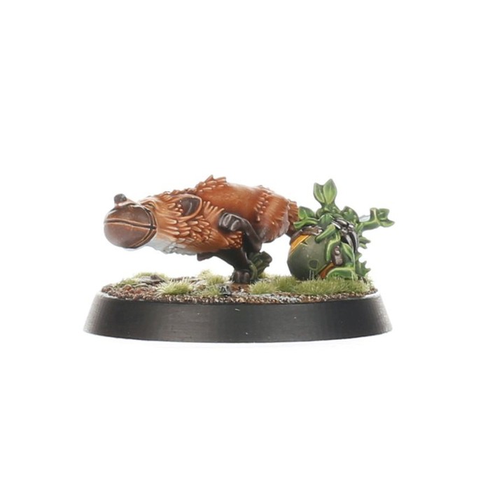 Gnomes Team Blood Bowl: Les Glimdwarrow Groundhogs