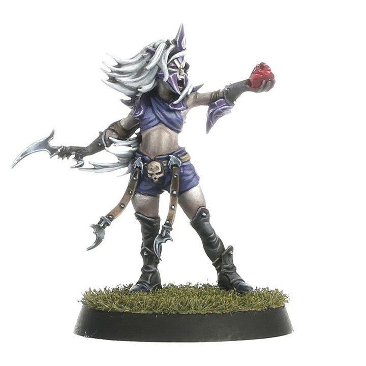 Blood Bowl – Équipe d’Elfes Noirs – Naggaroth Nightmares | VPC Forges