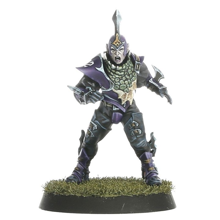 Blood Bowl – Équipe d’Elfes Noirs – Naggaroth Nightmares | VPC Forges