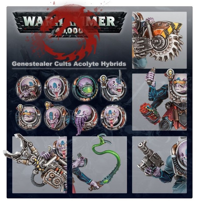 Hybrides Acolytes | Warhammer 40k Genestealer Cults | VPC Forges