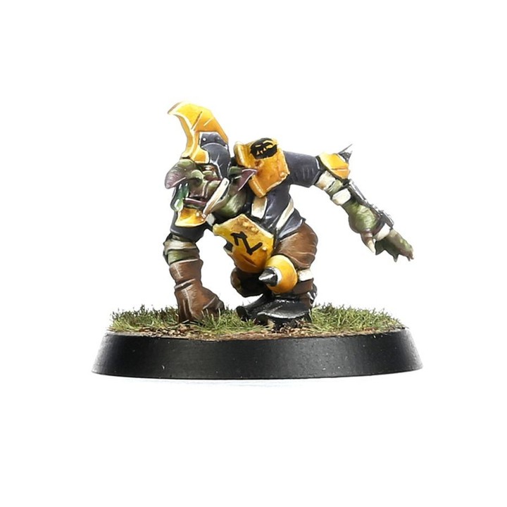 Équipe Scarcrag Snivellers - Blood Bowl | VPC Forges