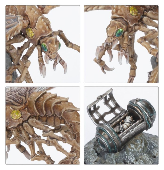 Ashwing Helamites