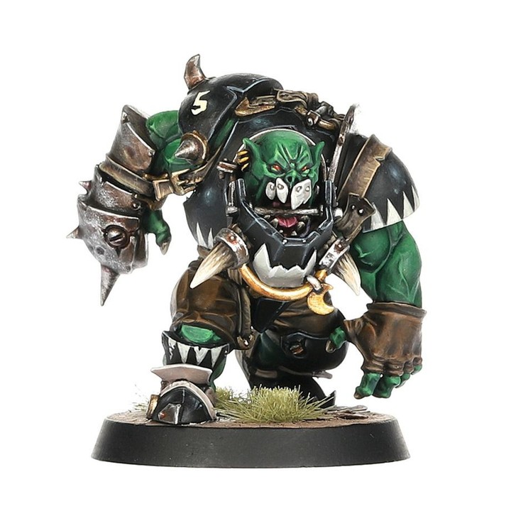 Black Orcs Team: Thunder Valley Greenskins