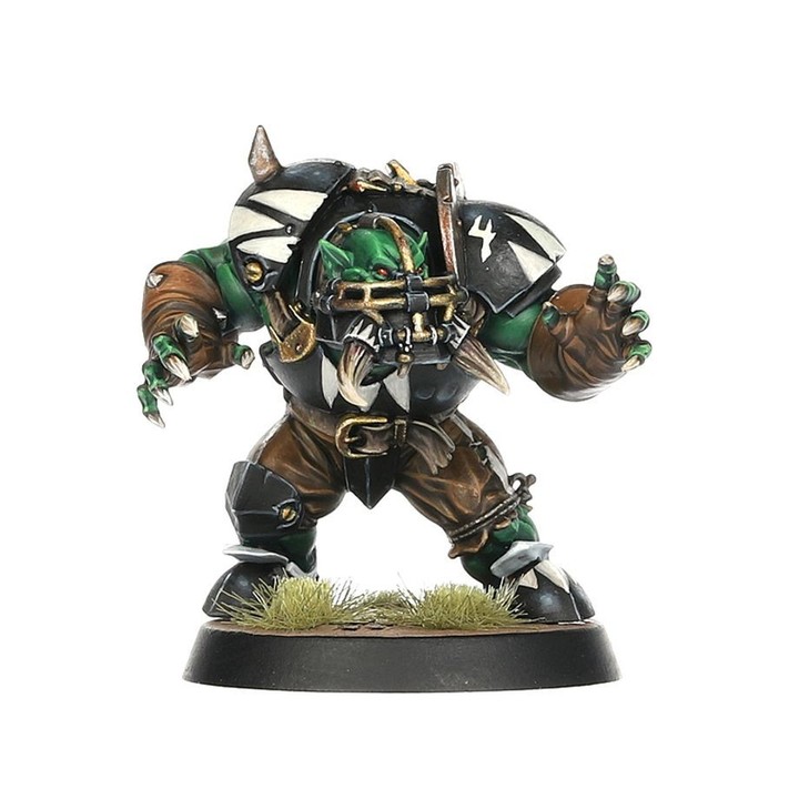 Black Orcs Team: Thunder Valley Greenskins