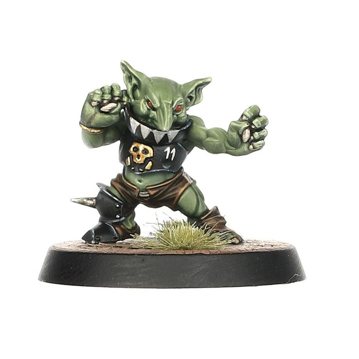 Black Orcs Team: Thunder Valley Greenskins