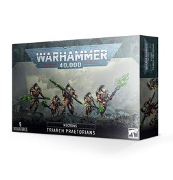 Lychguard / Factionnaires Nécron