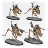 Ash Waste Nomads Dustback Helamites