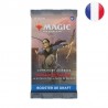 Booster de draft Commander Légendes : la bataille de la Porte de Baldur - Magic FR